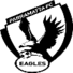 帕拉玛塔鹰